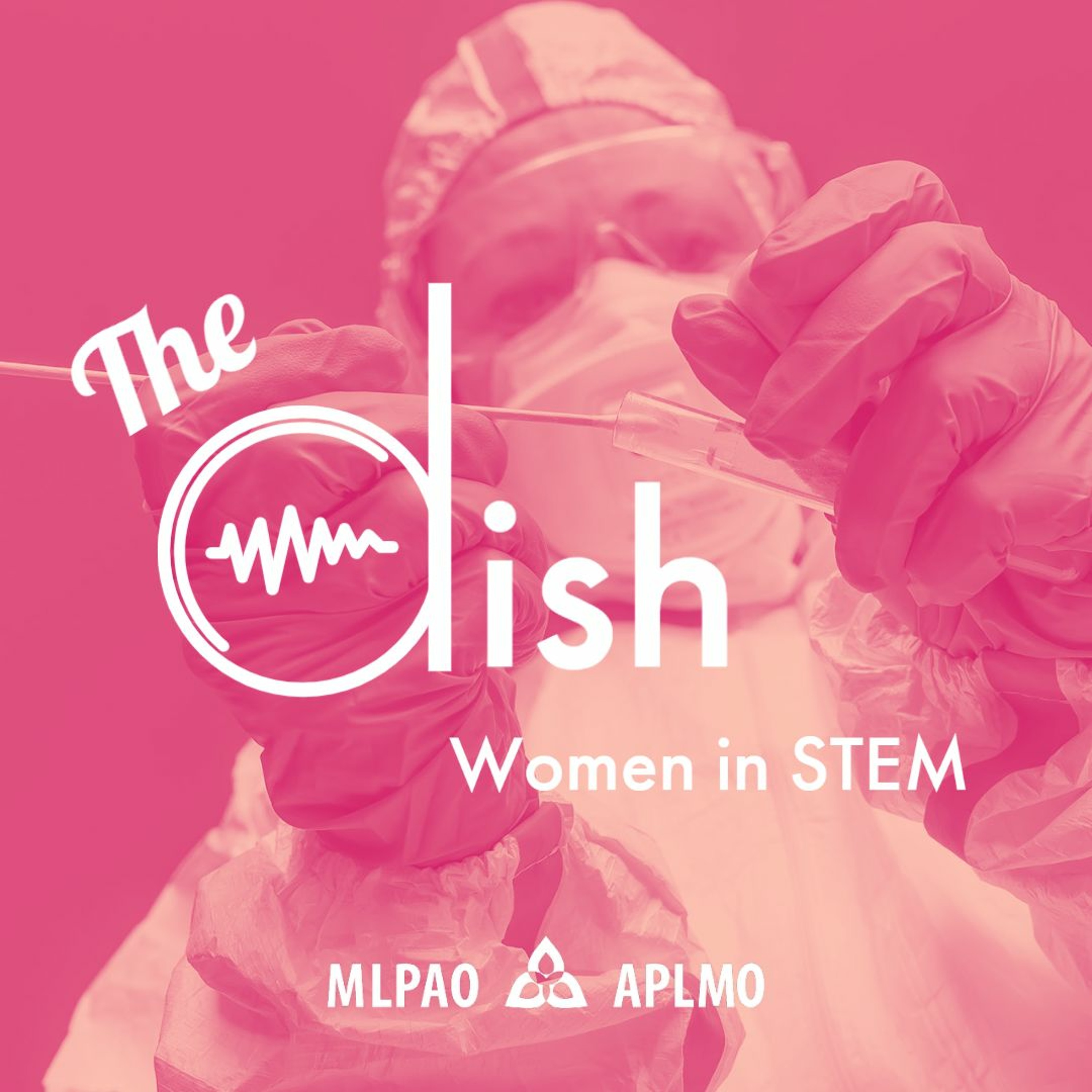MLPAO - The Dish
