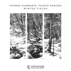 Thomas Schwartz, Fausto Fanizza - Winter Fields  - Original mix