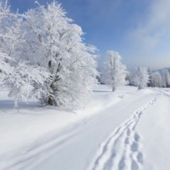 Dolle Juin - Snowy Sunday [07-02-21]