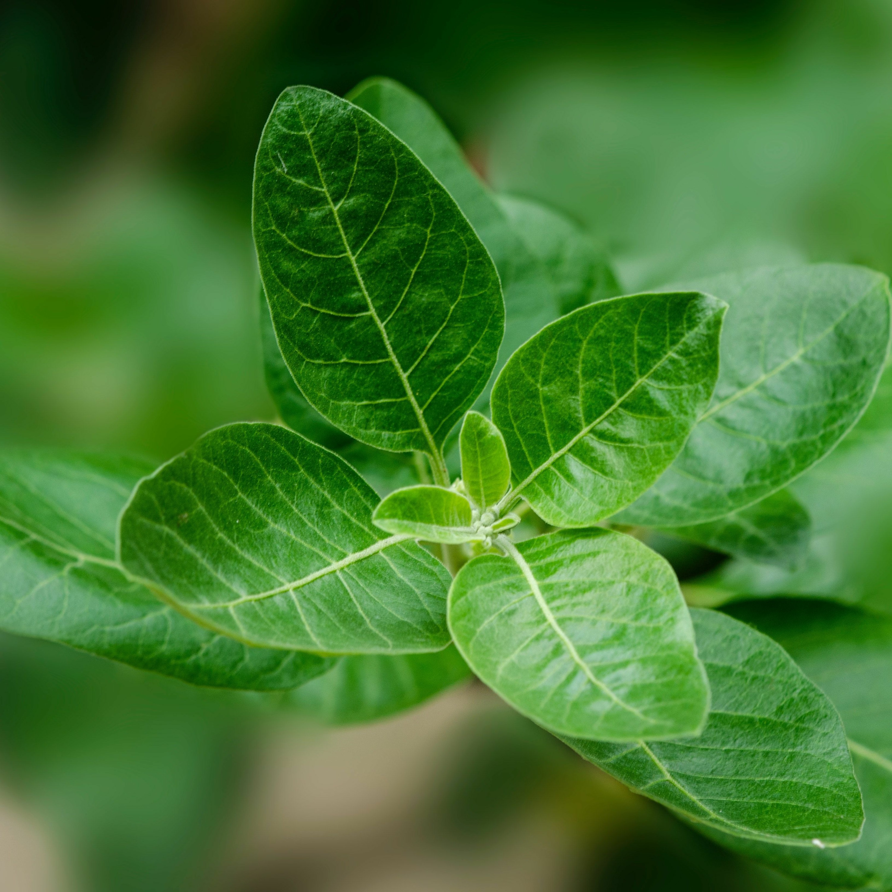 Mercredis Ecologie - Youmatter
