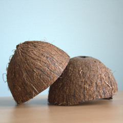 Horse_Hooves_Trot.A
