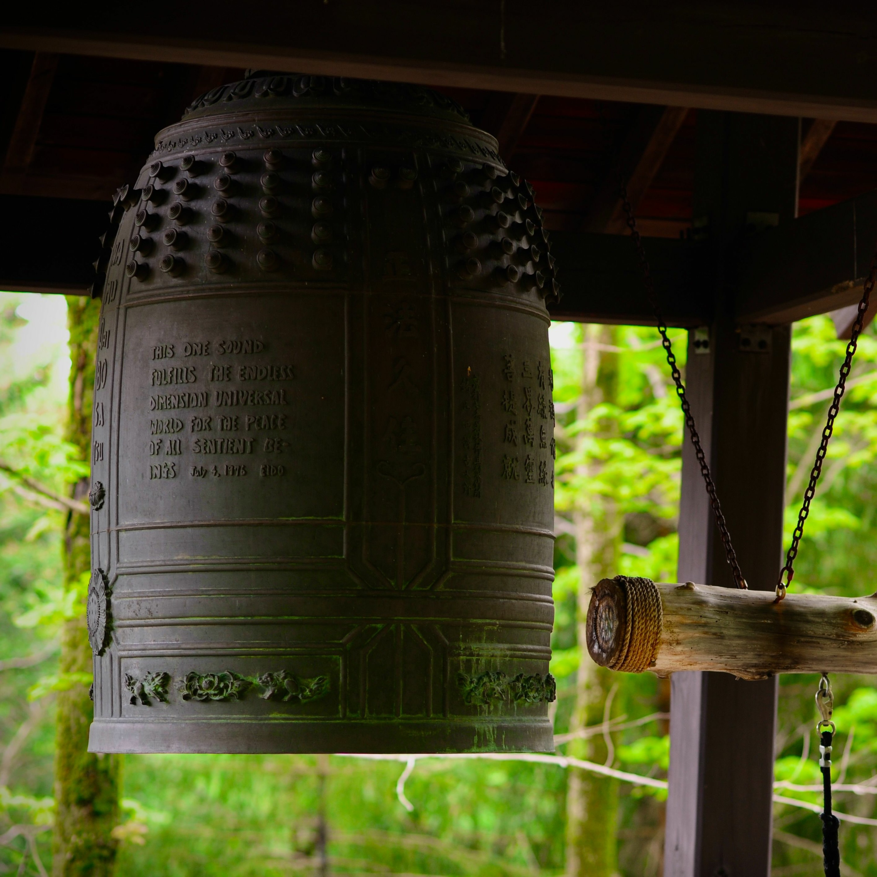 Entangling Vines Case 54: Juniper Tree Carrying Bowls, Teisho by Chigan Roshi, 2023.5.11