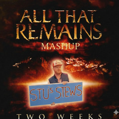 MomsSpaghetti - Two Weeks of Disco