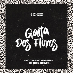 Gaita dos Fluxos