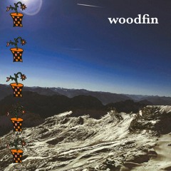 woodfin (ft. NovaGotSmoke)