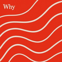 Why (Peter Brix edit)