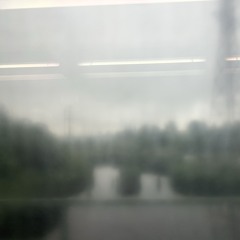 trenton