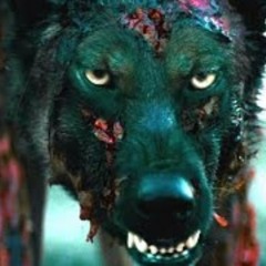 Thriller Music - Download Full Hi-Res Audio + Stems at sfrbeats.com