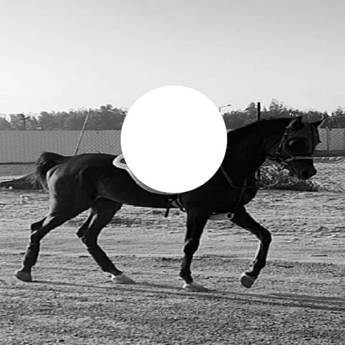 ‎برق ورعودي.⚡️