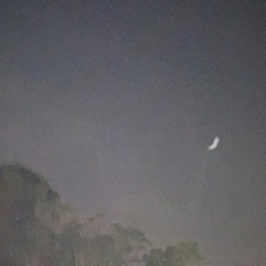 she ripped the wings off her angel.