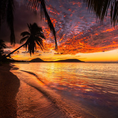 pworousen non ei pwinin (cvr by) bradah_Mack