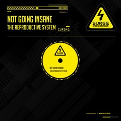 SUR041 The Reproductive System - Not Going Insane (Original Mix)