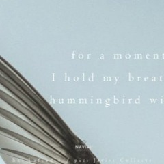 Hummingbird (naviarhaiku 449)