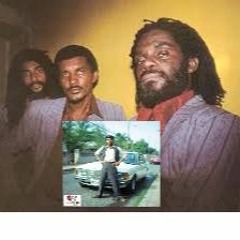 The Tamlins- Baltimore & Welton Irie- Hotter Reggae Music