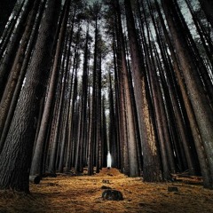 Blixa Is Just Telling