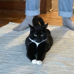 나는 행복할 때 콧물이 나와 My Nose Gets Runny When I'm Happy