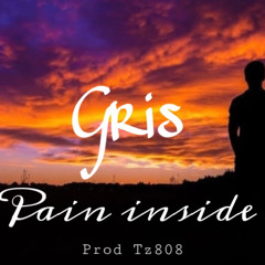 Gris-Pain Inside (prod tz808)