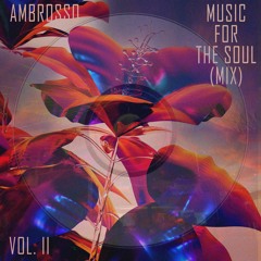 Music For The Soul Vol. 2 (MIX)