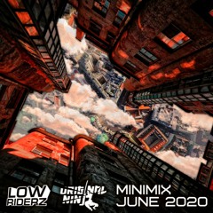 Original Ninja & Lowriderz - MiniMix June 20