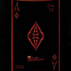 Ace - One TZ x TZ23