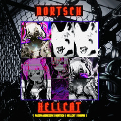 |PREMIERE|Nortsch - HELLCAT [PAS001]