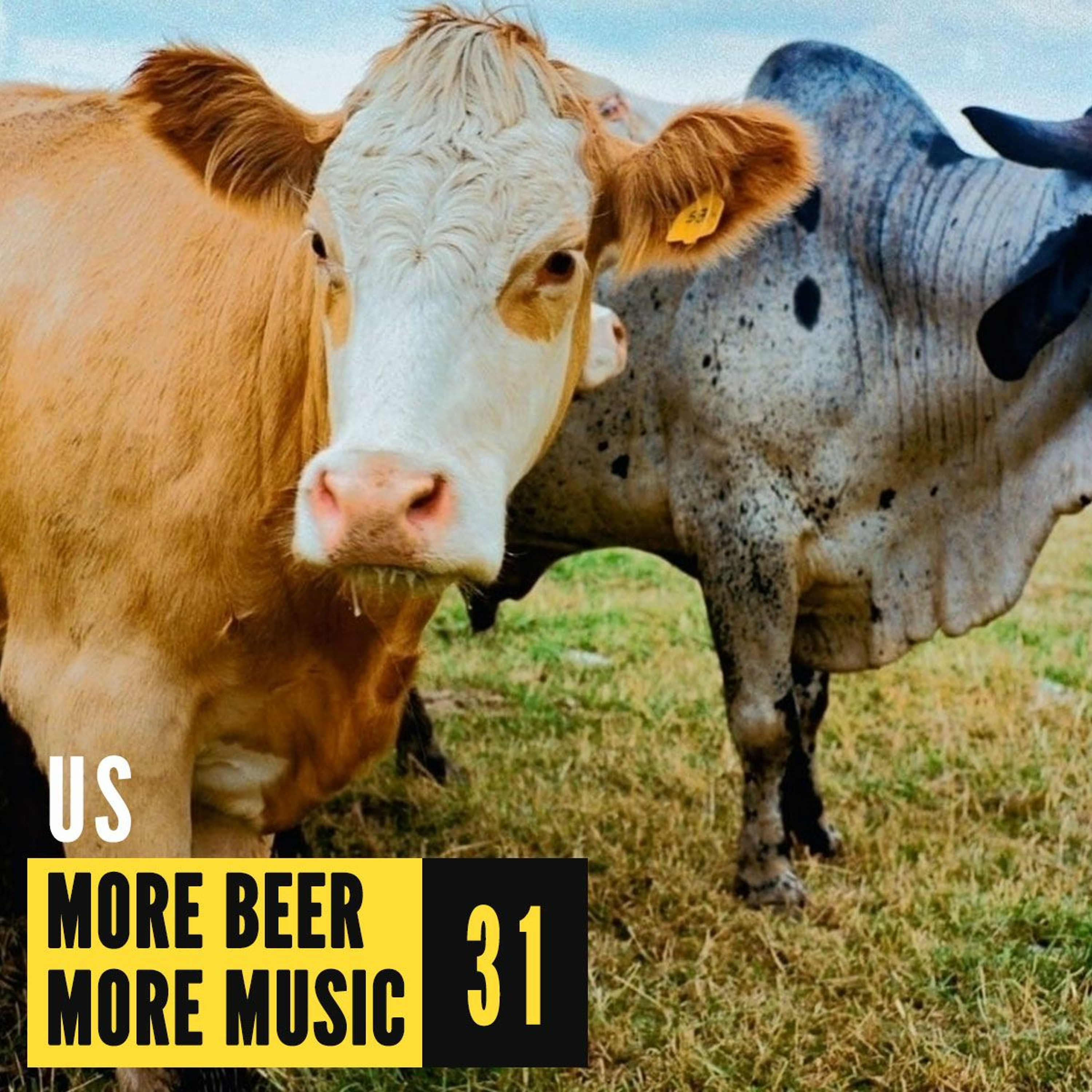 More Beer, More Music // 31