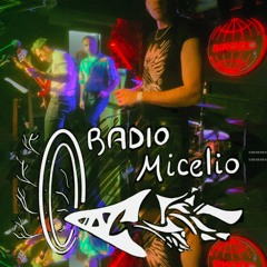 Radio Micelio - Siroco Live’24