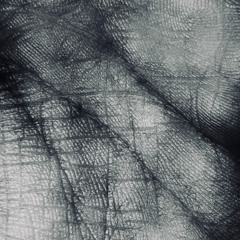 Órgano Nº1