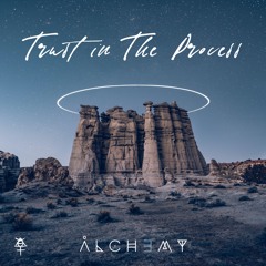 Trust In The Process