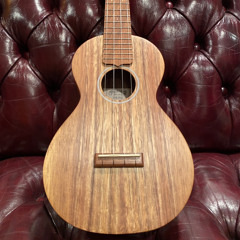 Simply the Best (Tina Turner - Ukelele Cover)