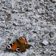 Tellerwäscher & .underdog - MET