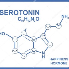 SEROTONIN