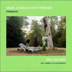 Introducing: Zen Arcade