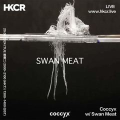 Coccyx w/ Swan Meat - 20/08/2024