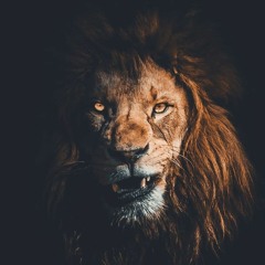 New public playlist