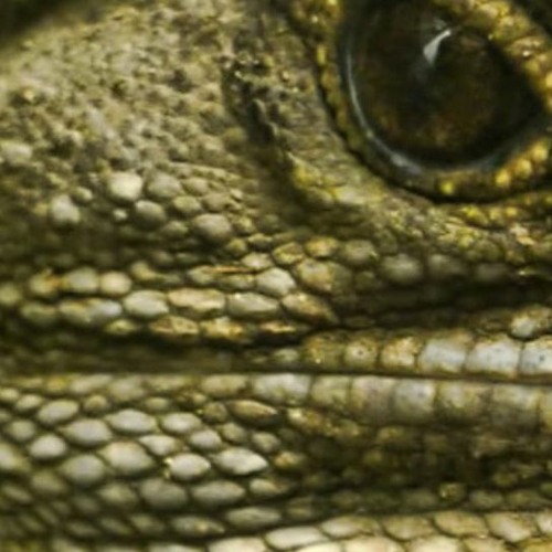 You Call This A Mix?