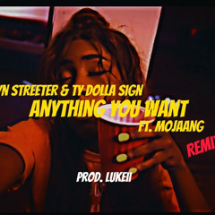 Sevyn Streeter & Ty Dolla Sign - Anything You Want ft. Mojaang (Remix) 2023