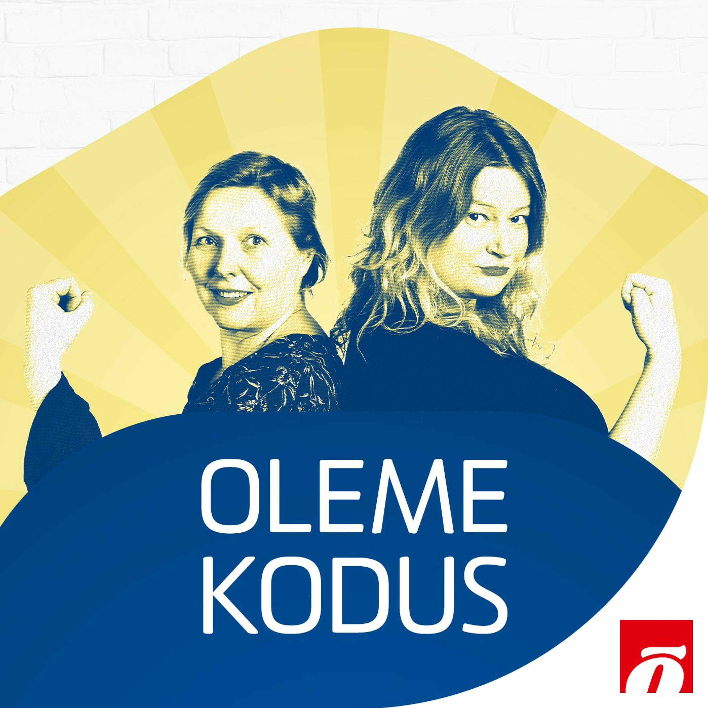 15. SAADE: Uurime uusimaid köögikombaine, köögikaale ja saumiksereid.
