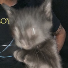 💕🌙spiraling in an ethereal state  🧦✨