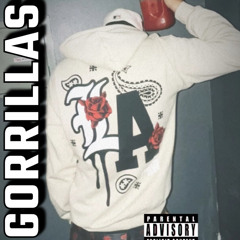 GORRILLAS (FREESTYLE)