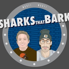 STB 5: NFL DIVISONAL RECAP & AFC NFC PREVIEW