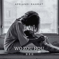 Wo Zou Hou ( 我 走 后 )