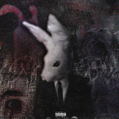 PlayBoy Bunnies (prod.artist)