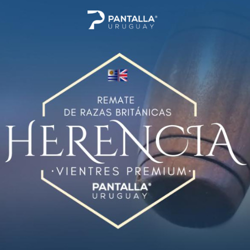 José Pedro Aicardi - Pantalla Uruguay