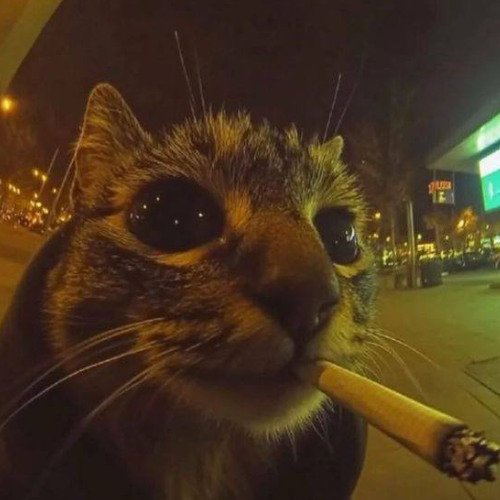 Платина - Нео (new beat by Xat0r1)