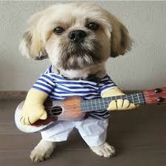 Rock Classics New Wave Remixes EDM versions