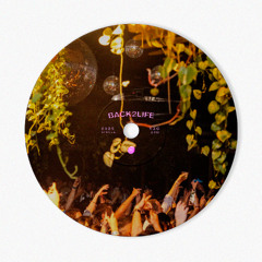 BACK2LIFE (Original Mix)