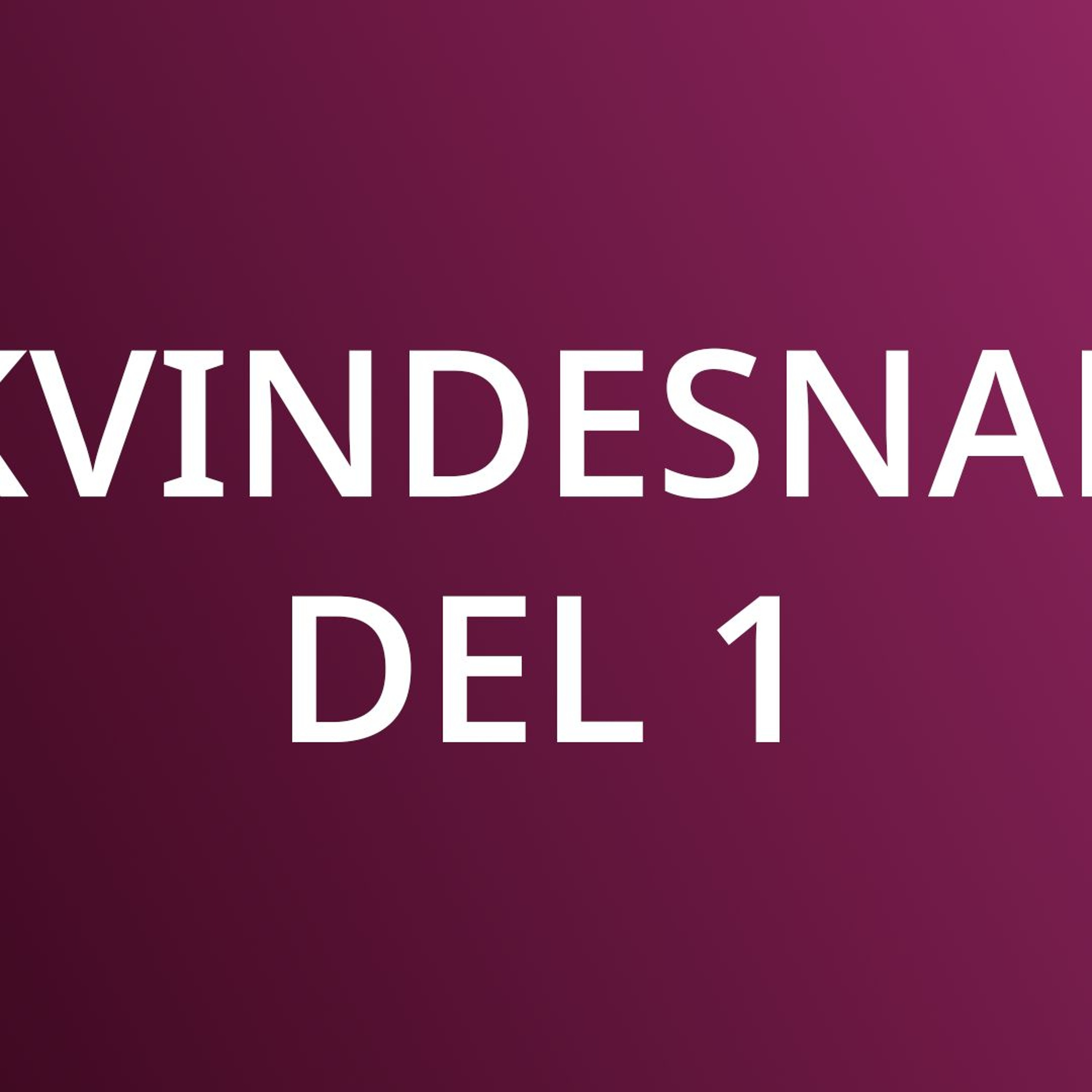 Afsnit 4 - Kvindesnak del 1