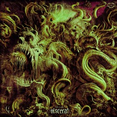VallaK & AkUmA - Visceral