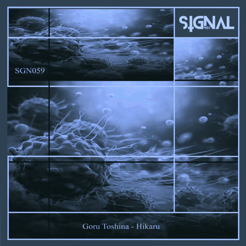 Goru Toshina - Public (Original Mix)